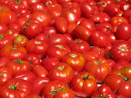 Al via la raccolta del pomodoro. E al mercato contadino di Borgochiesanuova arrivano i pomodori etici