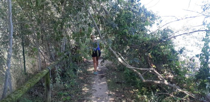 Il mantovano fa i conti con i danni del maltempo