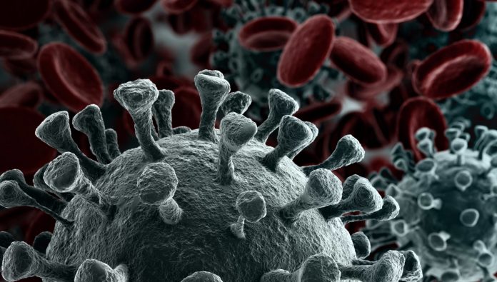 Coronavirus, la guerra tra virologi. Gismondo: 