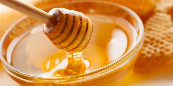 Caldo e siccità tagliano le produzioni di miele nel Mantovano del 20-25%